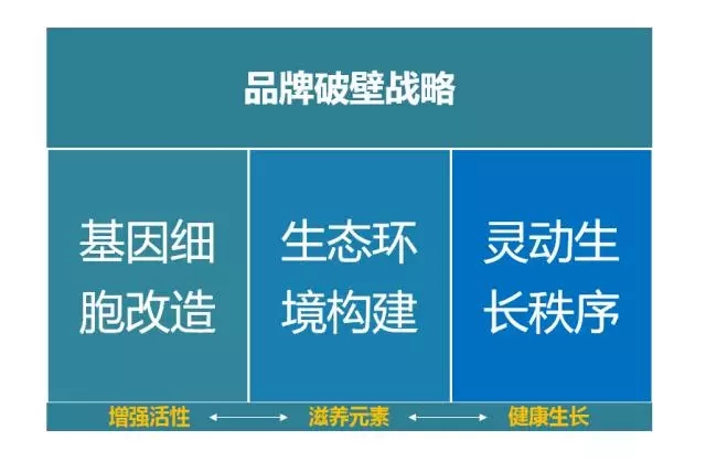 品牌升級必看的四大策略！